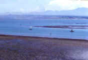 boats.jpg (16867 bytes)
